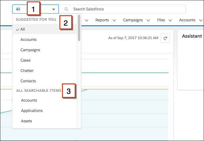 Begrenzen einer Suche auf ein bestimmtes Objekt in Lightning Experience