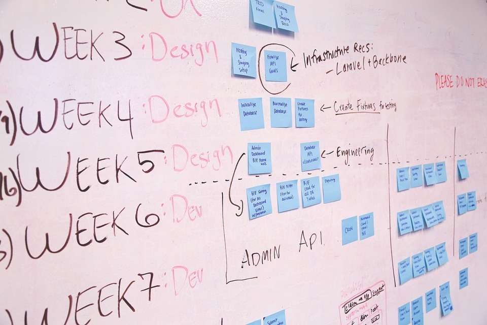 Process or project? What differences? What goals?