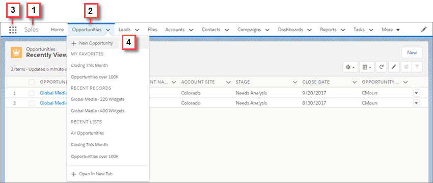 Lightning Experience Navigation