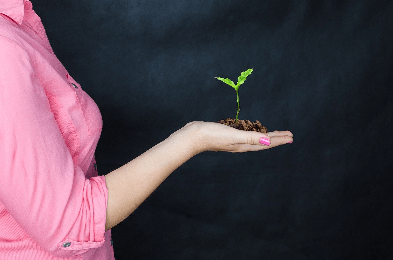 Accountability: cos’è e perché è importante per un Project Manager