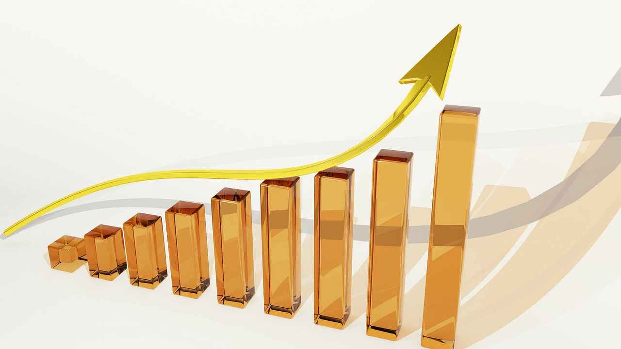the project profitability